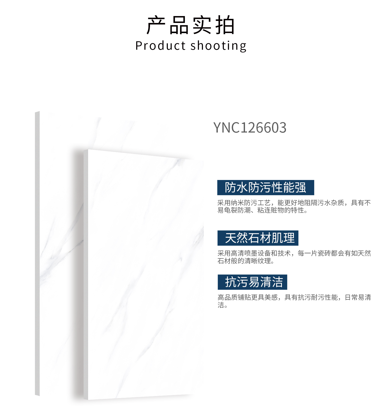 YNC126603-4.jpg